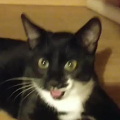 [?]